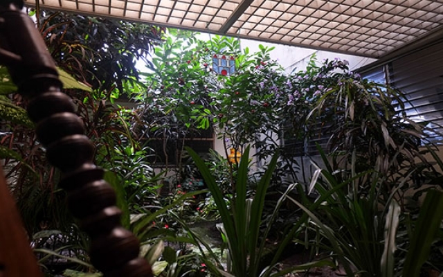 hosta la buena onda -matagalpa-