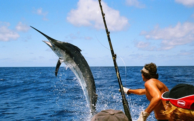 Blue paradise -San Juan del sur Actividades-