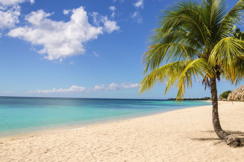 Corn island
