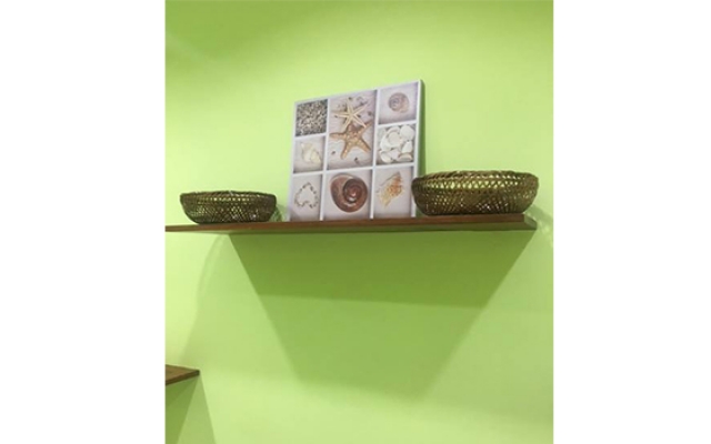 Palemo Tours -San Juan del sur Actividades-