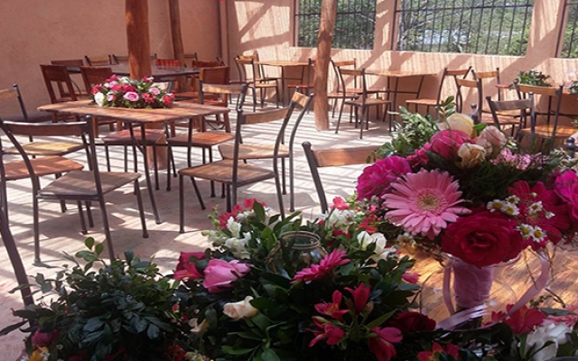 alas bravas -matagalpa-