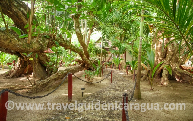 little corn beach and bungalow