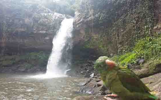 cascada blanca ecolodge -matagalapa-