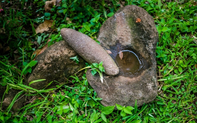 Congo resort -San Juan del sur Actividades-