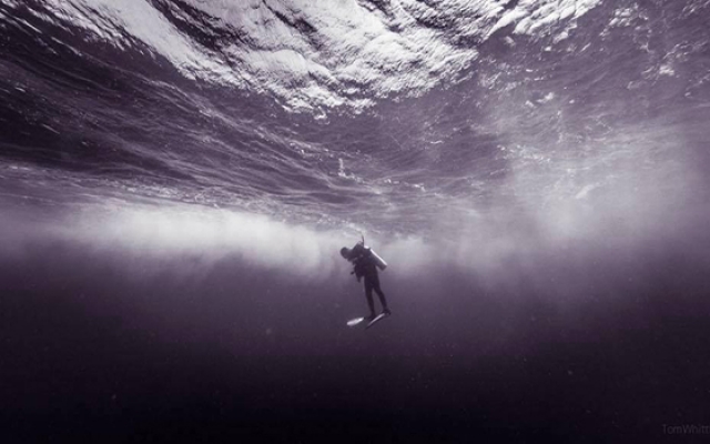 dos tiburones dive shop -corn island-