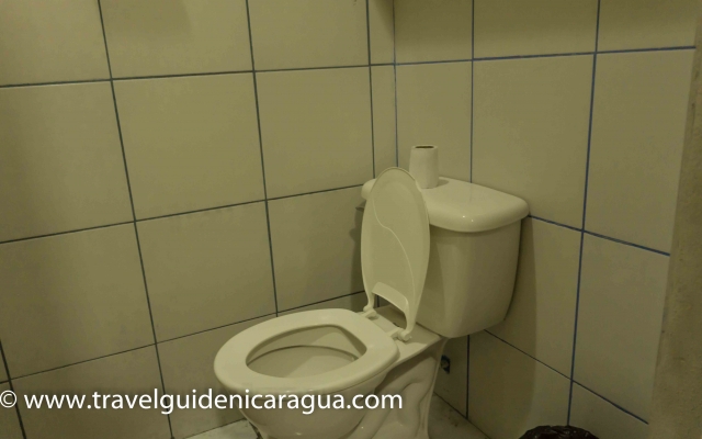 azul de la selva -estelì-