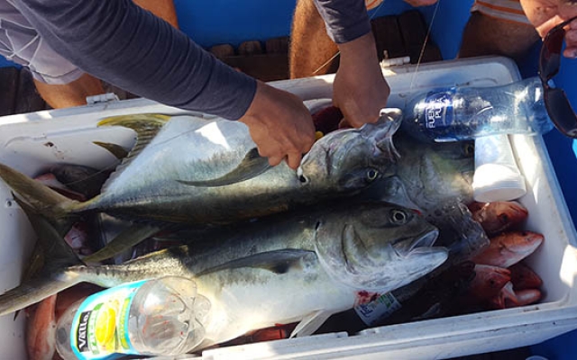 marcos rental -San Juan del sur Actividades-